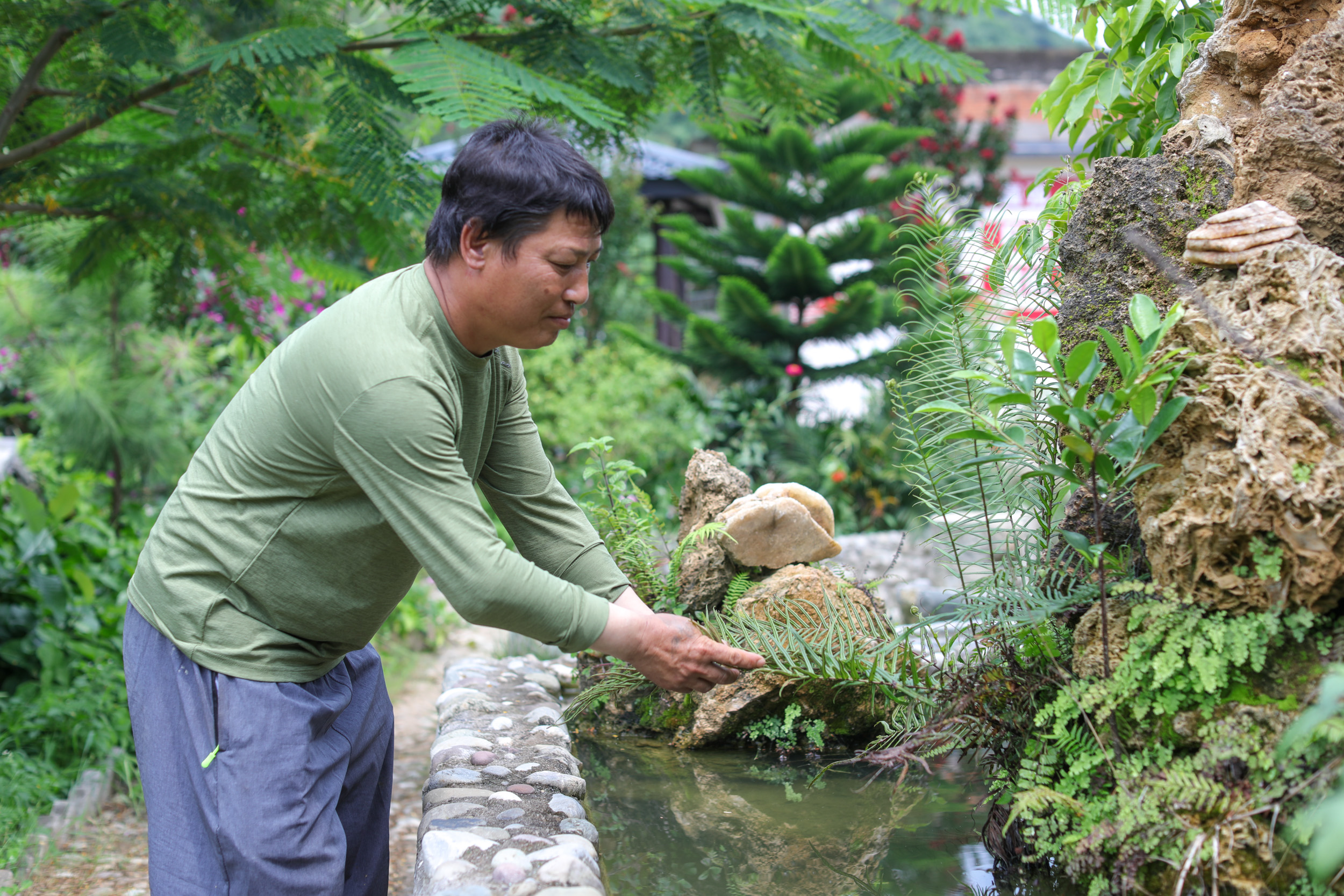 小公园的搭配都是马金洪从手机里学来的