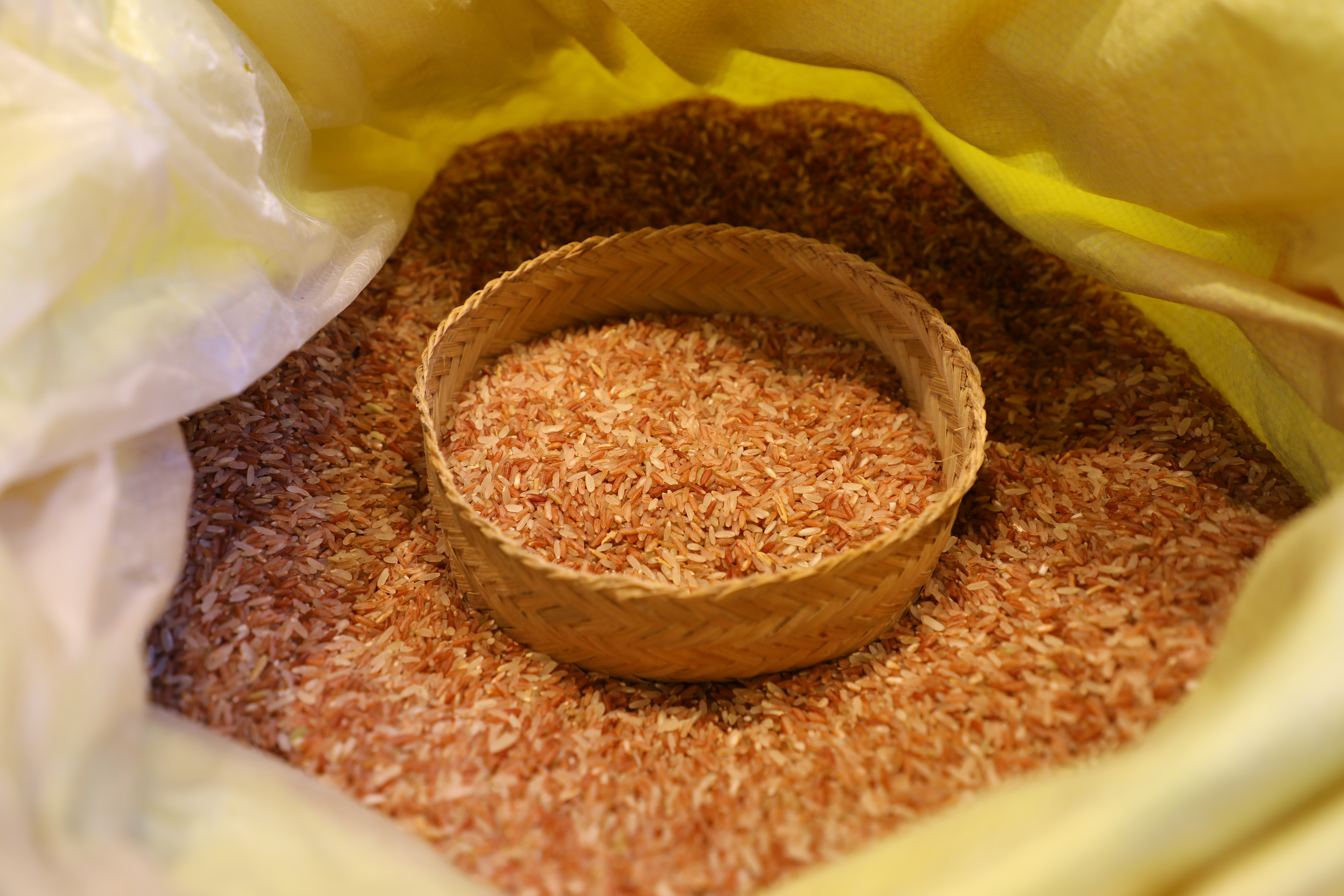 2025年10月11日,收购的红米 陈萍摄