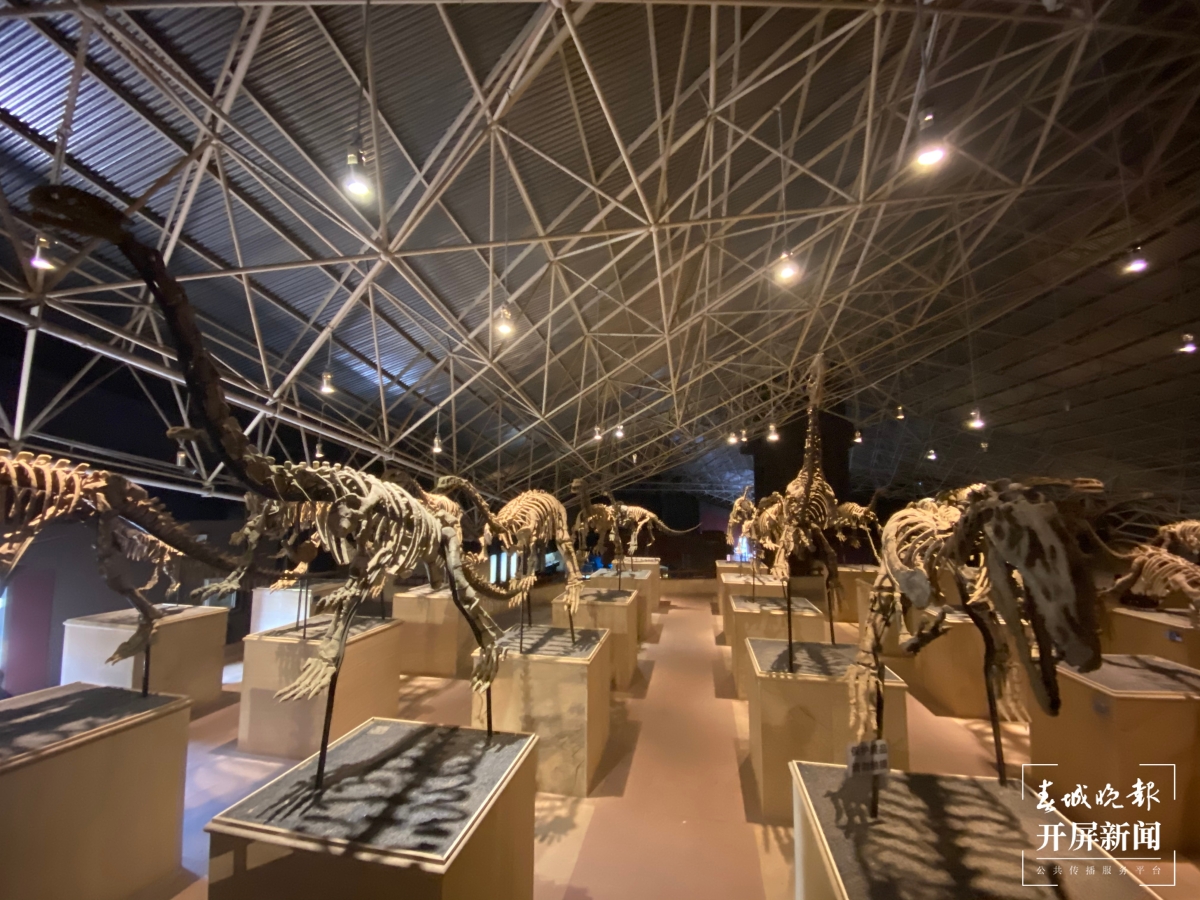 禄丰世界恐龙谷：穿越1.6亿年时空“重返侏罗纪”（孙琴霞 摄）