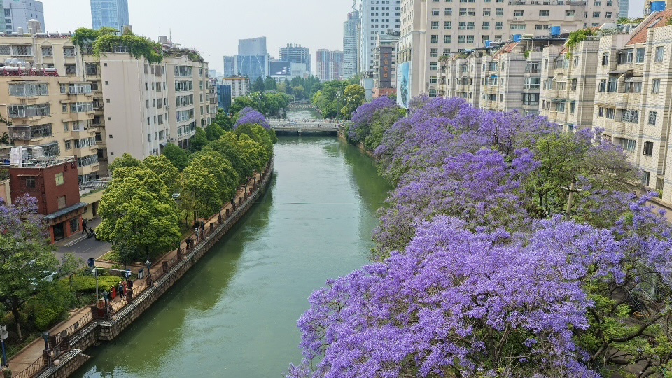 盘龙江畔 (2) 盘龙江畔 (2).jpg