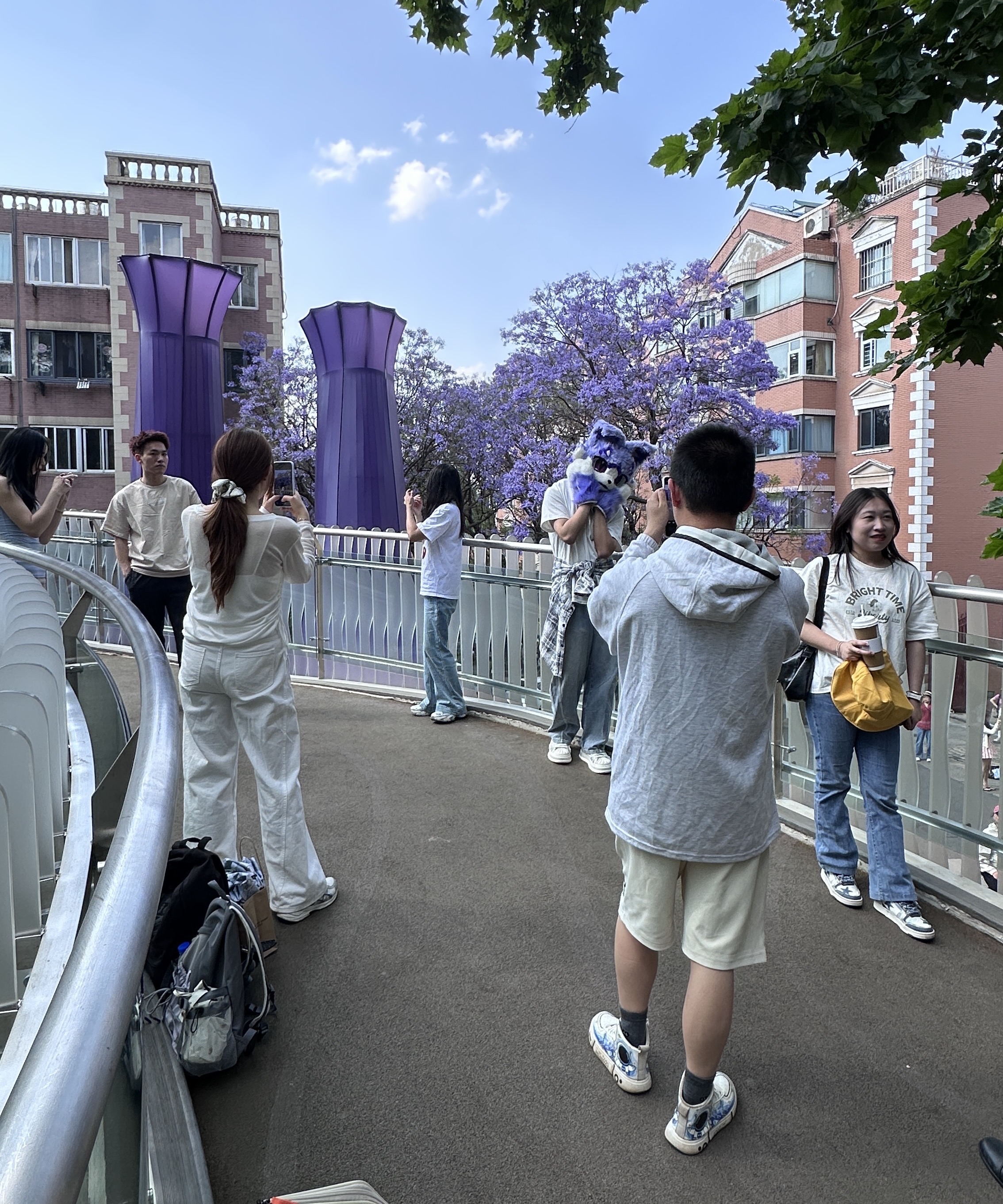 黄公东街蓝花楹打卡点 黄公东街蓝花楹打卡点.jpg