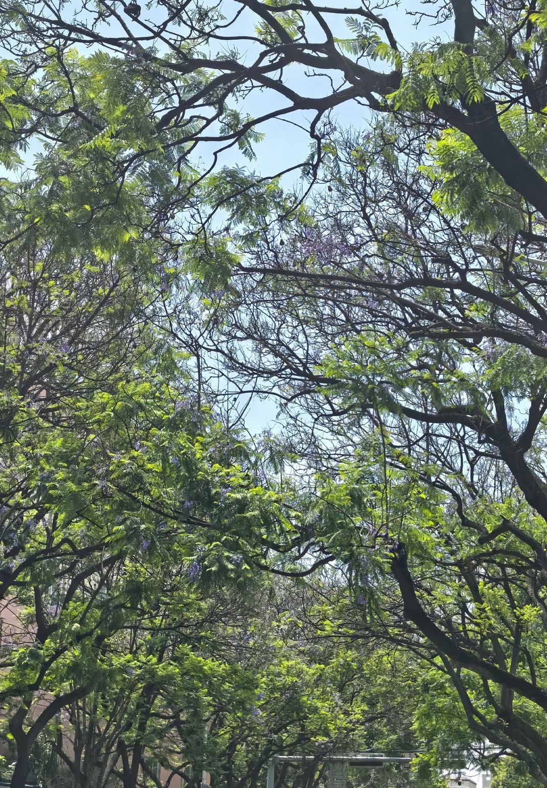 教场中路.jpg