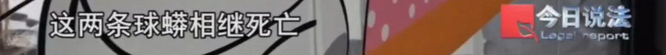 349f29782e2d4ac21cc59b8d0dec7d50.png