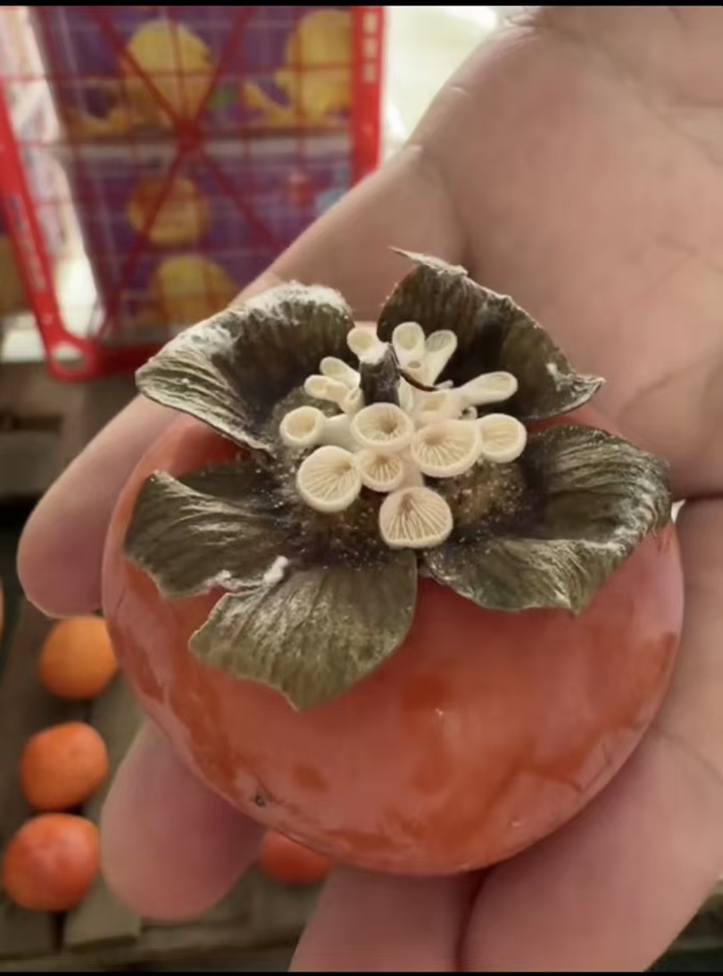 柿子上长出“蘑菇”