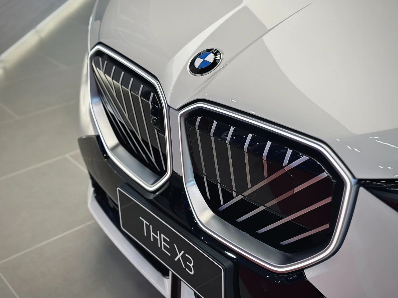 特写-BMW环形光耀格栅-2.jpg